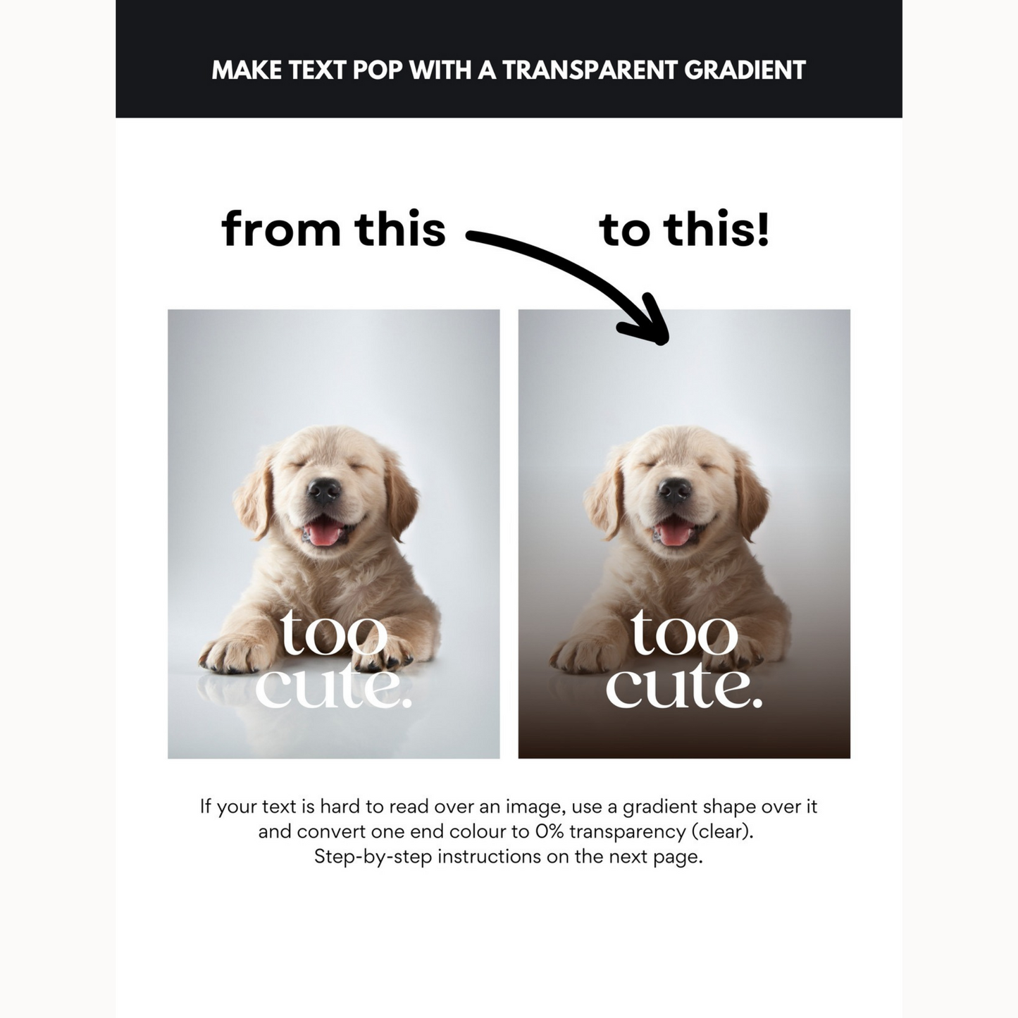 Learn How To Design In Canva